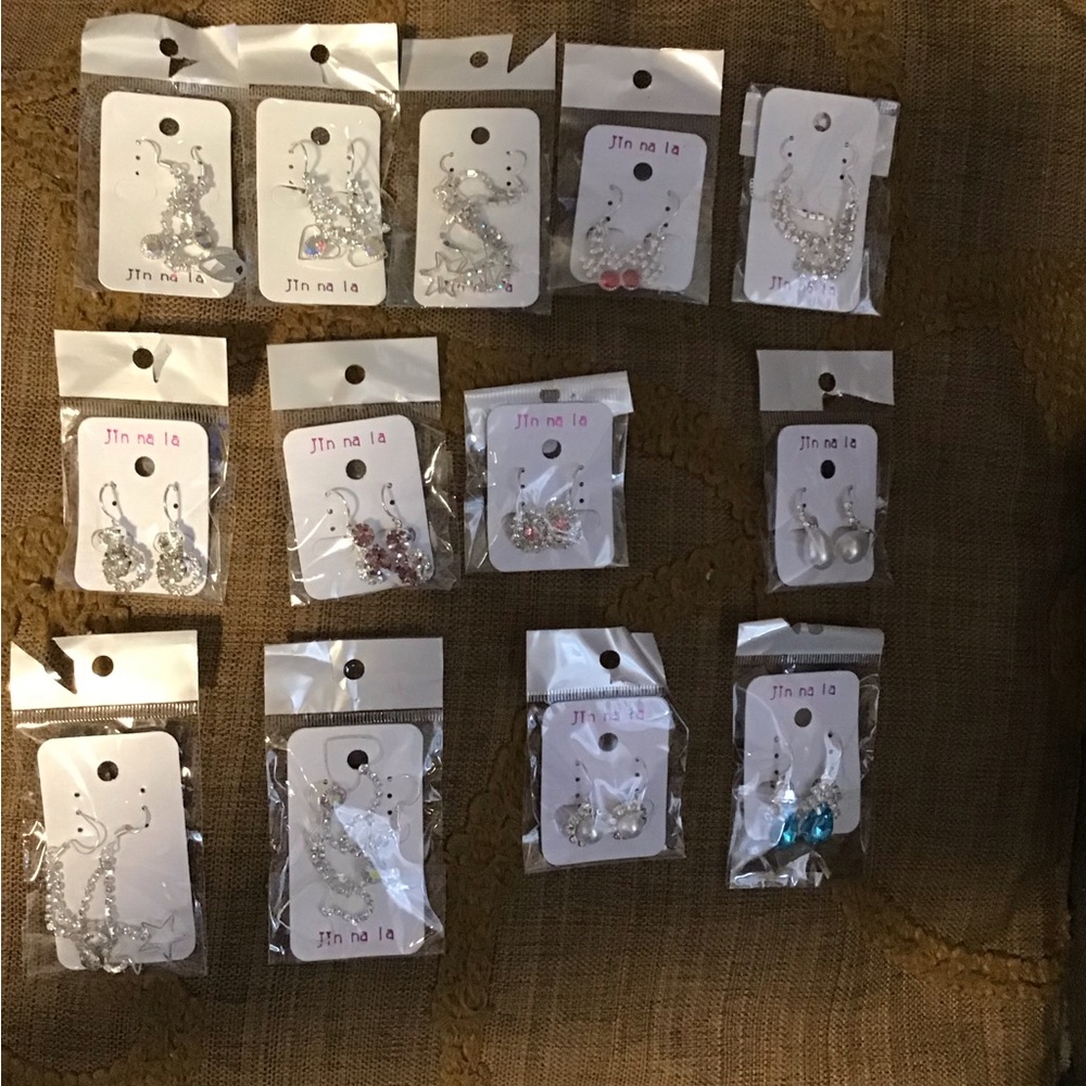 NWOT!  Silver and Blue Women's Earrings